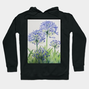 Blue Agapanthus watercolour painting. Hoodie